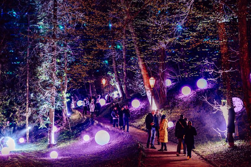Festival of Lights Zagreb 2026_The Forest (never) sleeps_Julien Duval (6).jpg